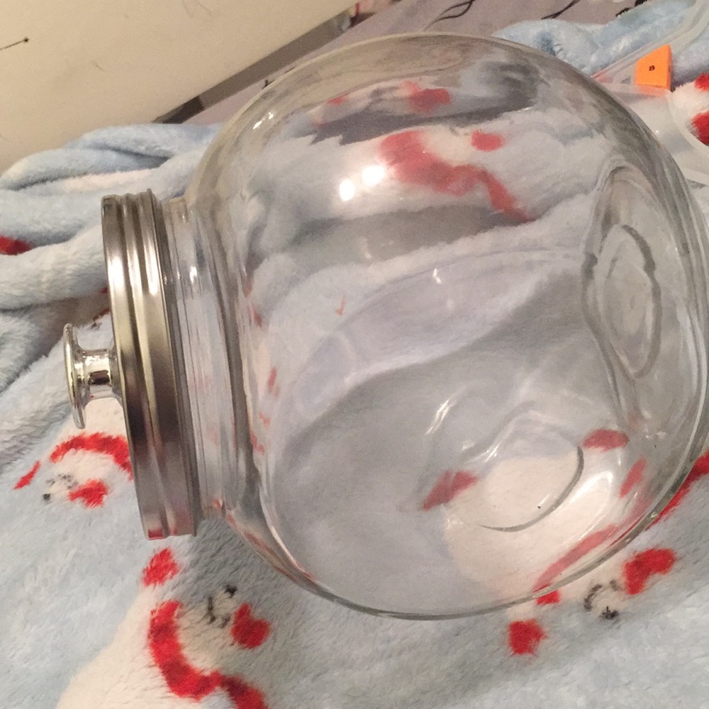Kitchen food snack holder glass